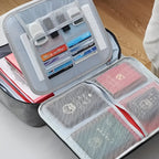 TravelSafe Document and Passport Bag