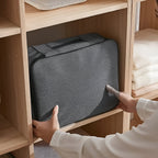 TravelSafe Document and Passport Bag